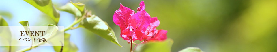 イベント情報